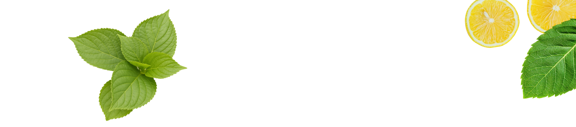 מוצרי Reju Phyto