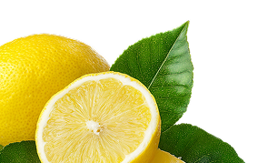 מוצרי Reju Phyto